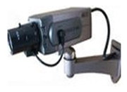 C-mount Camera